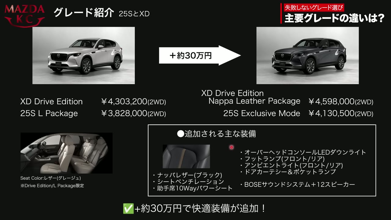 Drive Edition と Nappa Leather Package の比較